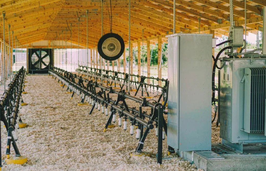 Step down transformer inside a poultry farm house feeding 110V fans and feed lines