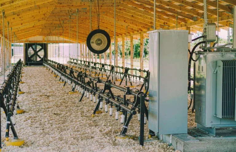 Step down transformer inside a poultry farm house feeding 110V fans and feed lines